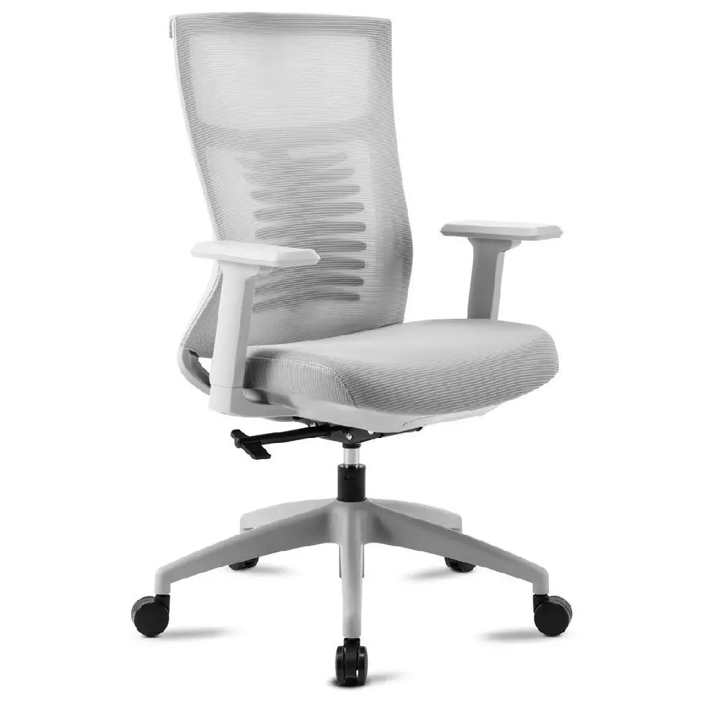 Mc HAUS-Vulcano-Pro-Ergonomic-Desk-Chair-PRODUCT-IMG