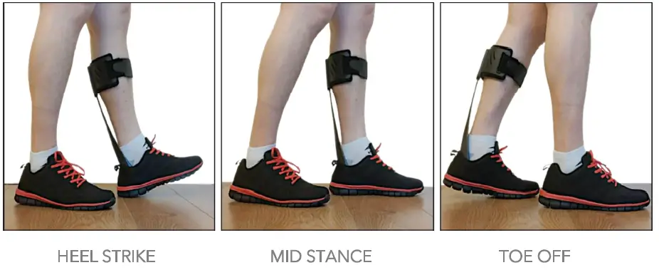 Trulife-FH400-Matrix-Pace-01