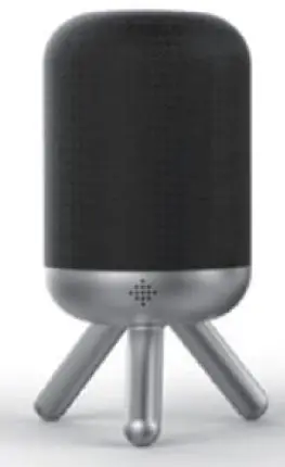 naxa NAS-3107D Dual TWS Bluetooth Speakers with Tripod Combo