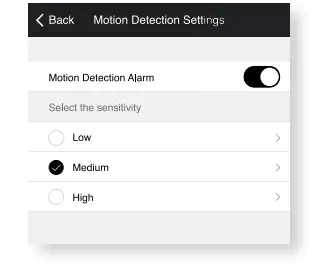 Motion Detection