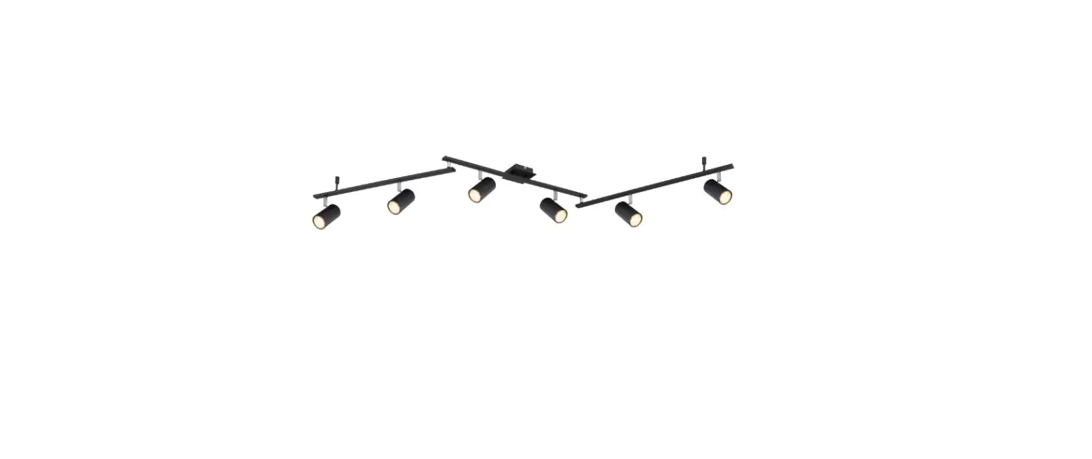 Globo Lighting 57910-6b Ceiling Light Instructions