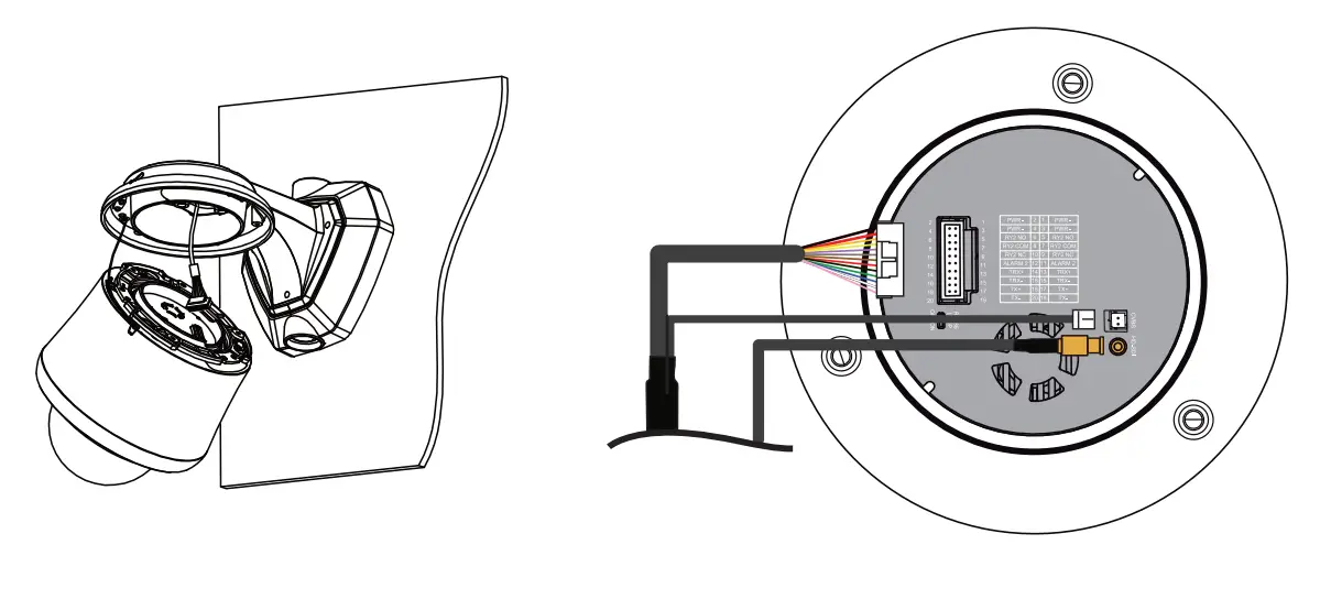 Connect Wiring Harness
