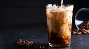 Gourmia GCM3260 Programmable Hot and Iced Coffee Maker - 1