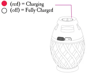 Charging Your Speaker