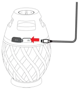 Charging Your Speaker