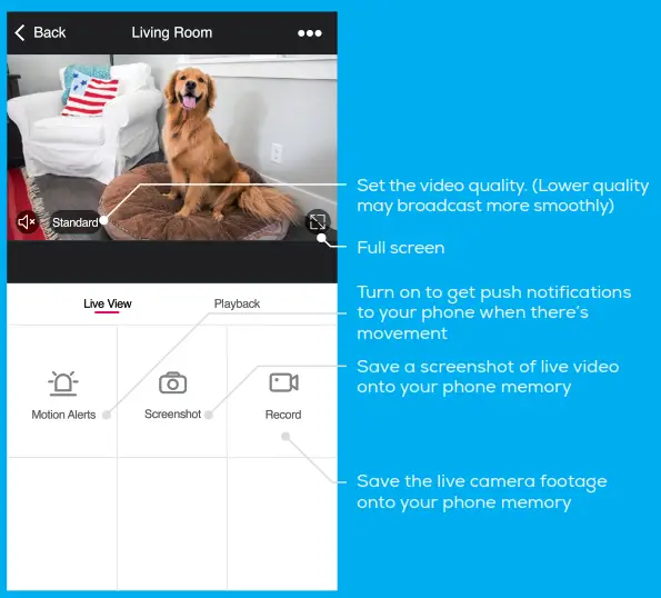 geeni Smart Wi-Fi Outdoor Camera - Live View