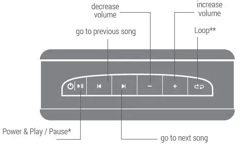 saregama SCM02 Carvaan Mini Hindi 2.0- Music Player 1