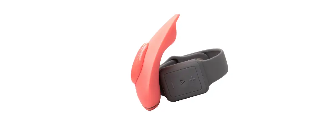 Clan Destine Companion Wearable Remote Controlled Vibrator User Guide Clan Destine Companion Wearable Remote Controlled Vibrator User Guide