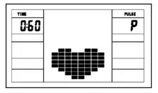 CHRISTOPEIT AX 8000 Crosstrainer Ergometer - Pulse Recovery