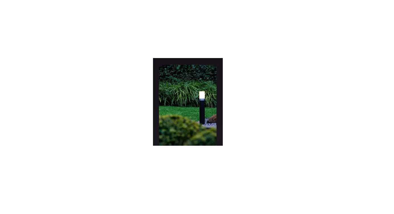Shenzhen Xigao Technology Xg4646 Garden Led User Manual