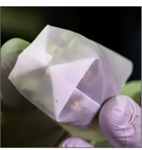 NUGSMASHER-IQ-4-Ton-Electric-Rosin-Press-FIG8