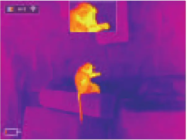 InfiRay E3W Thermal Monocular - FIG 12