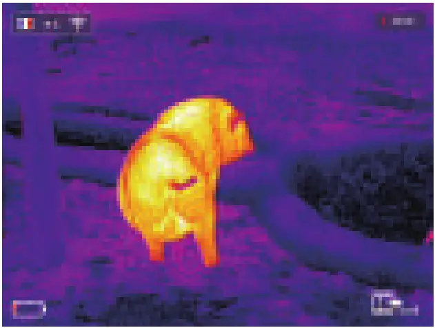 InfiRay E3W Thermal Monocular - FIG 5