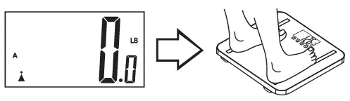 TAYLOR-5721F-Body-Composition-Scale-FIG-5