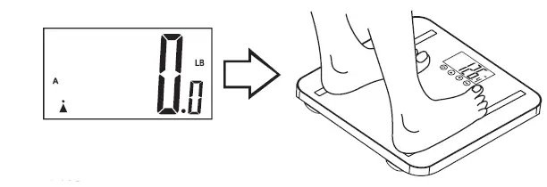 TAYLOR-5721F-Body-Composition-Scale-FIG-7