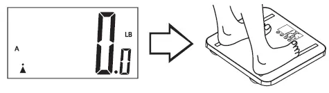 TAYLOR-5721F-Body-Composition-Scale-FIG-9