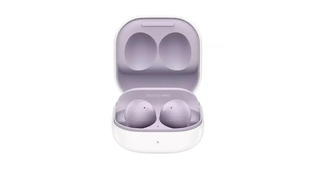Samsung Galaxy Buds2 User Guide