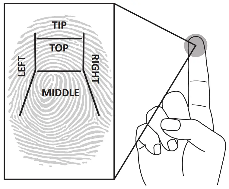 SPORTS AFIELD SA5520INS-BIO Instinct 18-Gun Fireproof Biometric Gun Safe - Fig 9