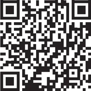 ReXiNG Dash Cam S800 - QR Code - URL