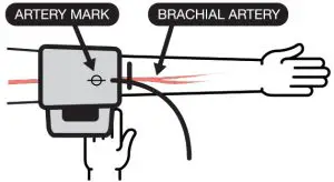 microlife BP W1 Basic Wrist Blood Pressure--Place the artery
