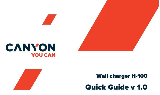 CANYON H-100 Wall Charger User Guide