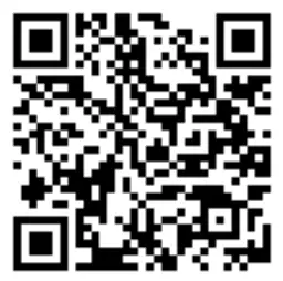 Brook Pocket Auto Catch Meteor Auto Spin Catching Pocket Monster - qr1