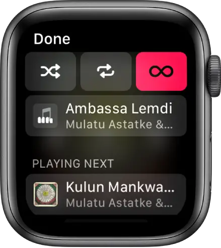 The tracklist window showing Shuffle, Repeat, and Auto Play buttons at the top, and one track directly below. Near the bottom, another track appears below Playing Next.