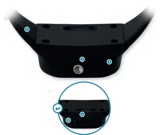 PetTec-RST415729-Remote-Spray-Trainer-3