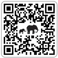 connect-IT-CKM-9010-SL-Wireless-Keyboard-and-Mouse-Set-FIG-1