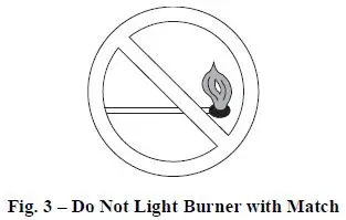 Carrier Non-Condensing 80% Afue Gas Furnace-3