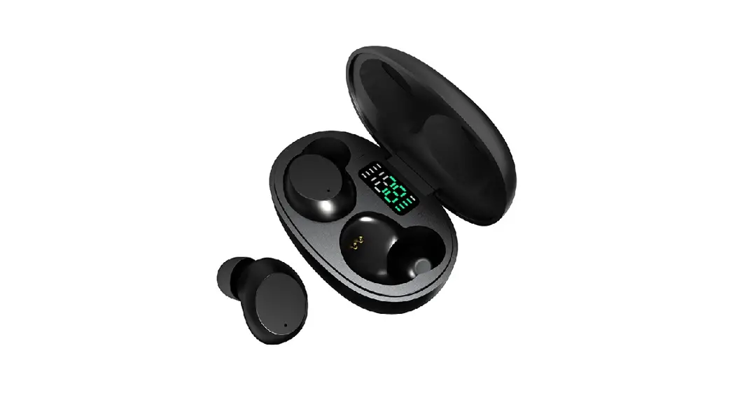 Dns Tw-206a True Wireless Earbuds User Guide