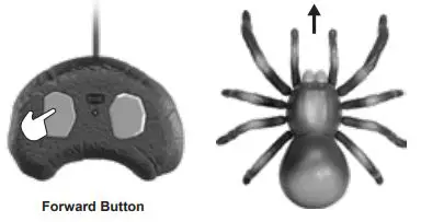 ZEEVA-ZT-0232-Toy-RC-Tarantula-Remote-Controller-4