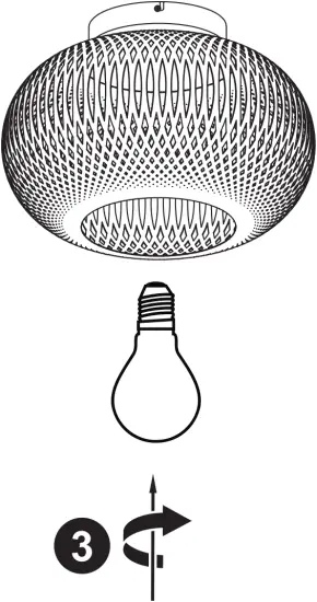 CL16107A Bambus - Maintenance 3