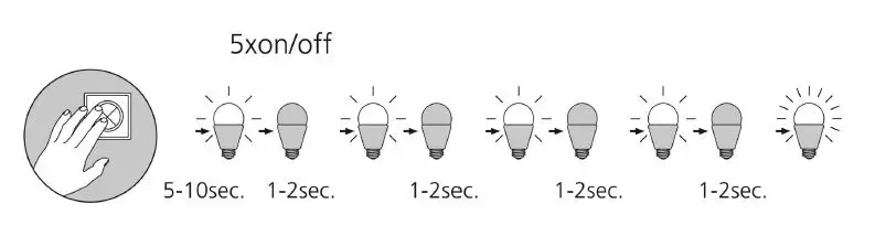 Paul Neuhaus 8414-13 Ceiling Light Instruction FIG 7