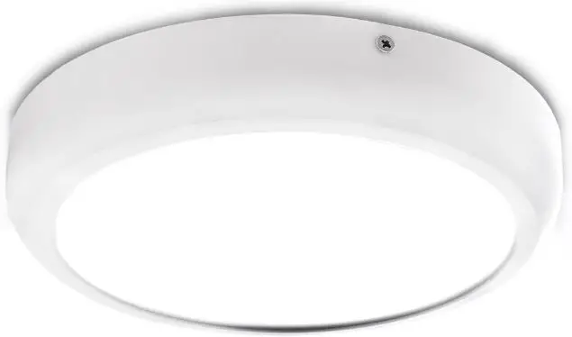 Paul Neuhaus 8414-13 Ceiling Light Instruction PRODUCT