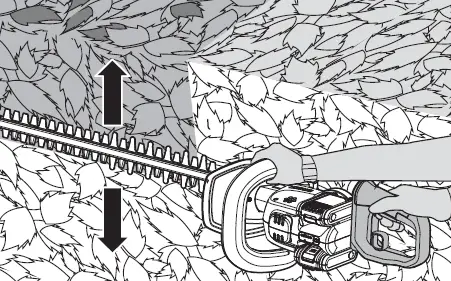 WORX WG284E Cordless Hedge Trimmer 16
