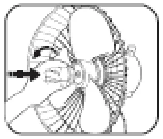 Goldair GCPF200 40cm Chrome Pedestal Fan - fig 3