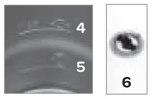 TOMADO TMF1101B Milk Frother - Fig 1