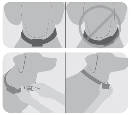 Premier GIF00 16918 Wireless Add A Dog - Fit the Collar