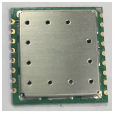 STAR INSTRUMENT MMJ05-1B-015 LoRa Module fig 3