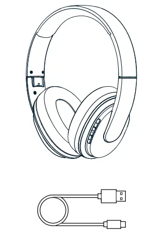 NOKIA WHP-101 Wireless Headphone fig1