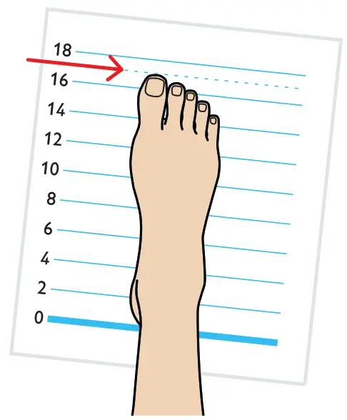 MEASURING THE LENGTH