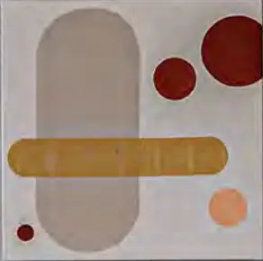 Cozylady 5M 100M Smart LED Strip Lights - Cover