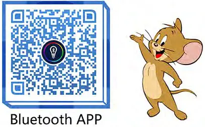 Cozylady 5M 100M Smart LED Strip Lights - Instruction for Bluetooth Connection 1