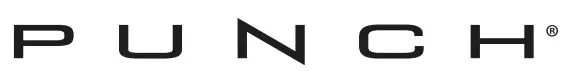 punch - logo