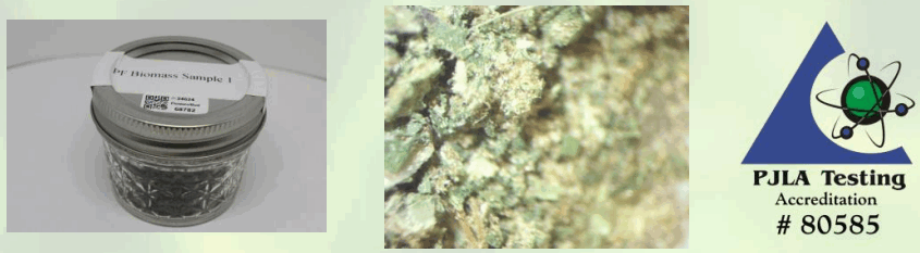 PROSPECT FARMS Awaken Tincture Regular Strength - 7