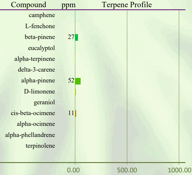 PROSPECT FARMS Awaken Tincture Regular Strength - tabile3