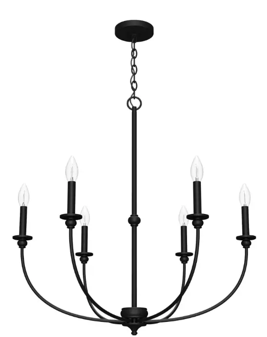 Hunter-19634-6-Light-Chandelier-PRO
