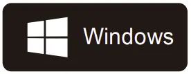 Window icon