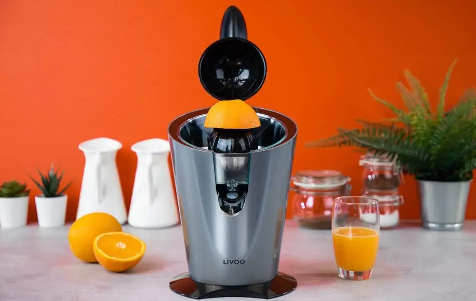 Livoo Dod194 Electric Juicer Instruction Manual